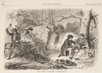 Christmas – Gathering Evergreens