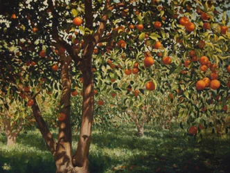 Silence under the Oranges II, 2012