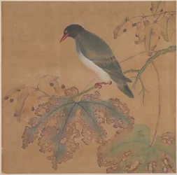Bird on Branch