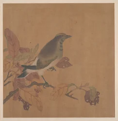 Bird on Branch