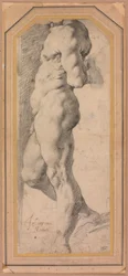 Study of a Standing Male Nude