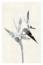 Abstract Bird of Paradise