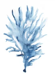 Abstract Blue Coral