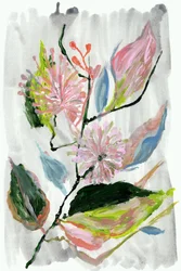 Abstract Pink Blooms