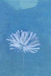 Blue Moon Flower