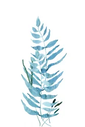 Blue Watercolor Fern