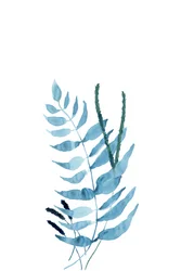 Blue Watercolor Ferns