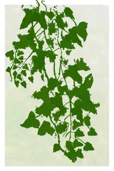 Cascading Greenery