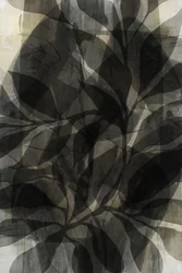 Dark Layered Foliage