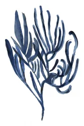 Deep Blue Sea Flora