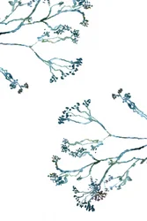 Delicate Winter Branches