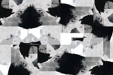 Dynamic Black White Abstract