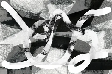Dynamic Monochrome Strokes