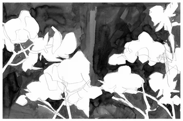 Elegant Night Blooms