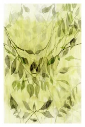 Ethereal Green Foliage