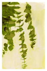 Flowing Green Leaves