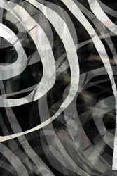 Flowing Monochrome Lines