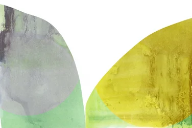 Fluid Organic Shapes
