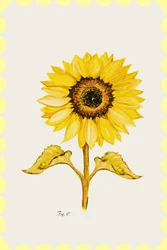 Golden Sunflower Bloom