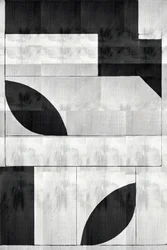 Monochrome Organic Shapes