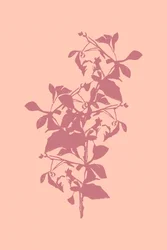 Pink Botanical Silhouette
