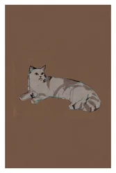 Relaxed Grey Cat
