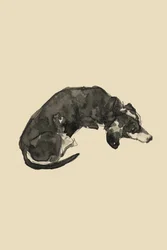 Relaxed Ink Dog