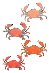 Seafood Crabs Watercolor