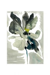 Serene Watercolor Flower