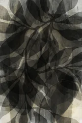 Shadowed Botanical Layers