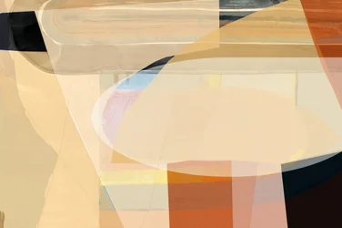 Soft Geometric Layers