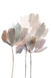 Soft Watercolor Blooms