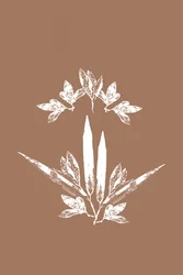 Stylized Botanical Leaves
