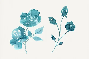 Teal Watercolor Roses