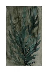 Underwater Greenery