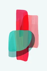 Vibrant Abstract Forms