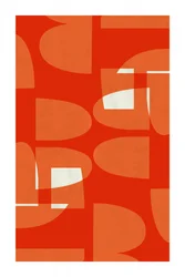 Vibrant Midcentury Curves