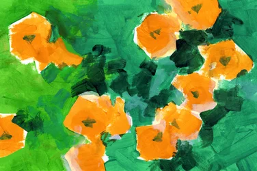 Vibrant Orange Blossoms