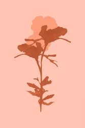 Warm Botanical Bloom