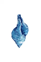 Watercolor Blue Seashell