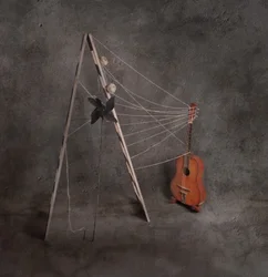 Acoustic Guitar Still Life