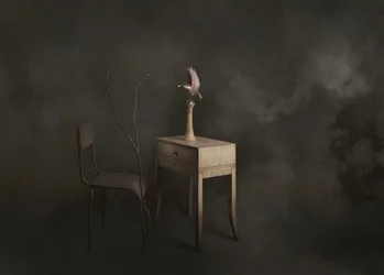Quiet Bird Scene