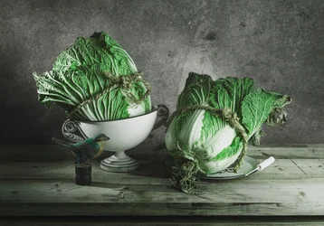 Rustic Cabbage Still Life