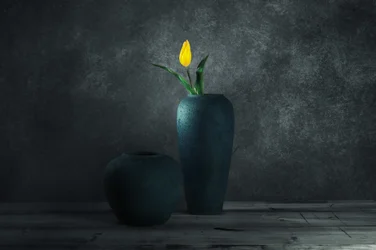Yellow Tulip Still Life