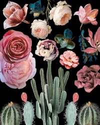 Cacti Floral Blooms Botanical