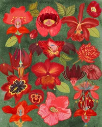 Exotic Red Floral Collection