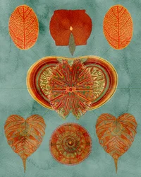 Intricate Botanical Arrangement