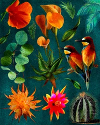 Tropical Birds and Blooms