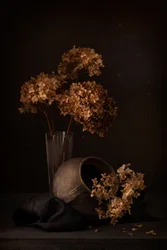 Dark Hydrangea Still Life